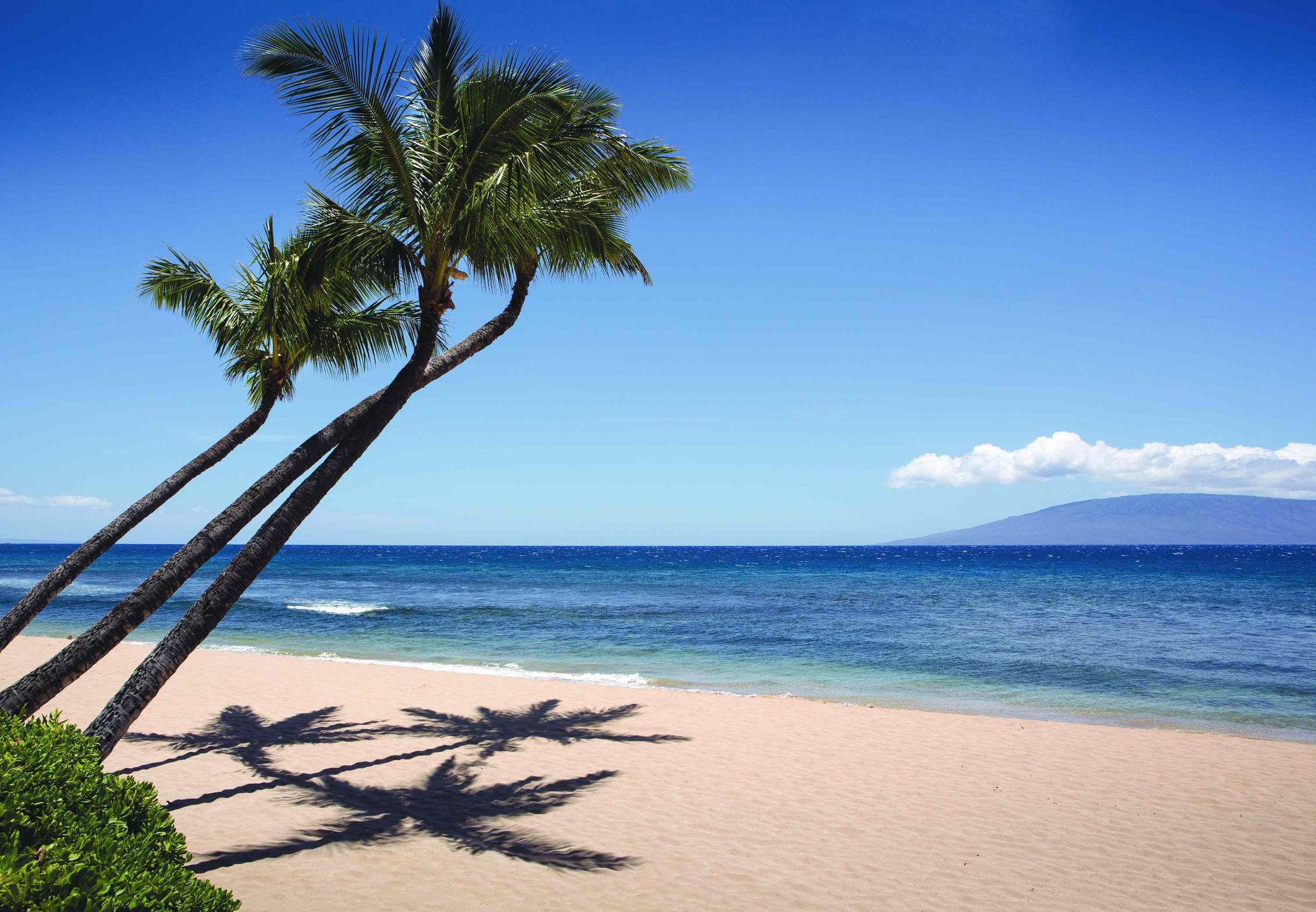 Marriott'S Maui Ocean Club - Molokai, Maui & Lanai Towers Hotell Lahaina Exteriör bild
